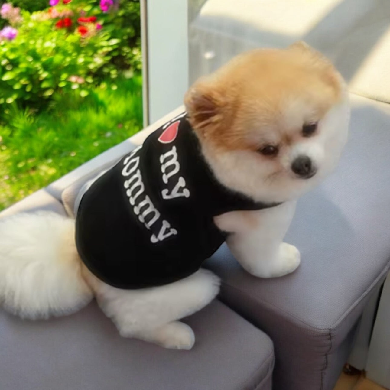Louie’s “I Love My Mommy” Dog Shirt