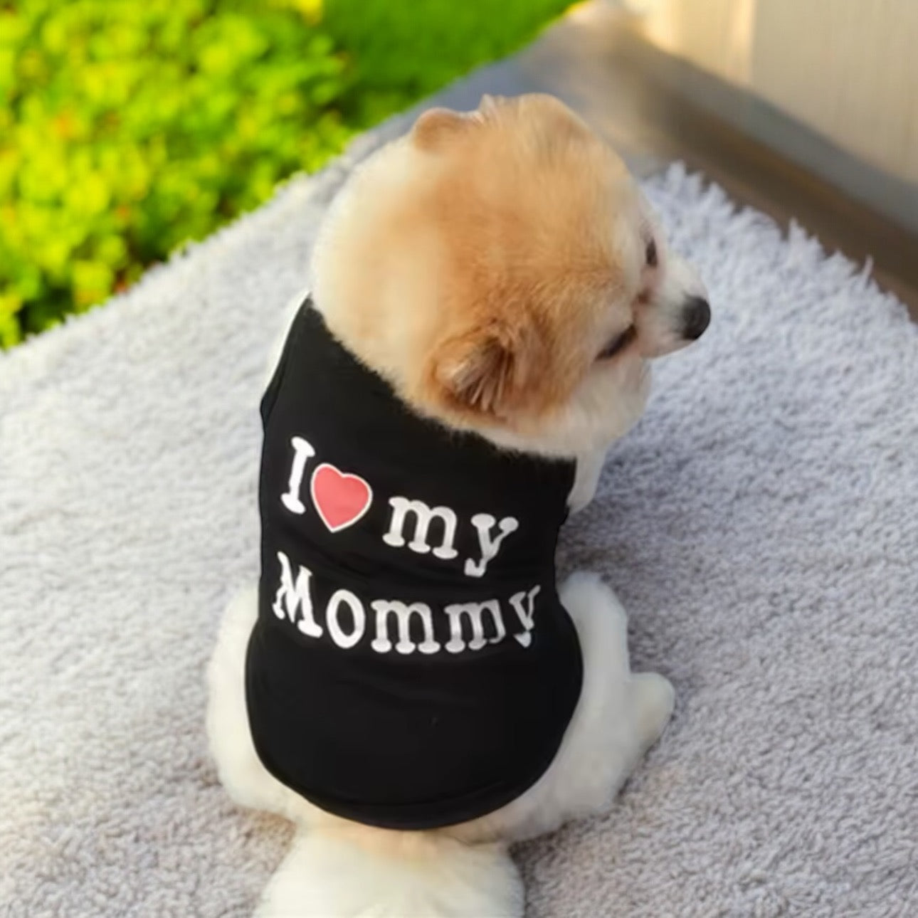 Louie’s “I Love My Mommy” Dog Shirt