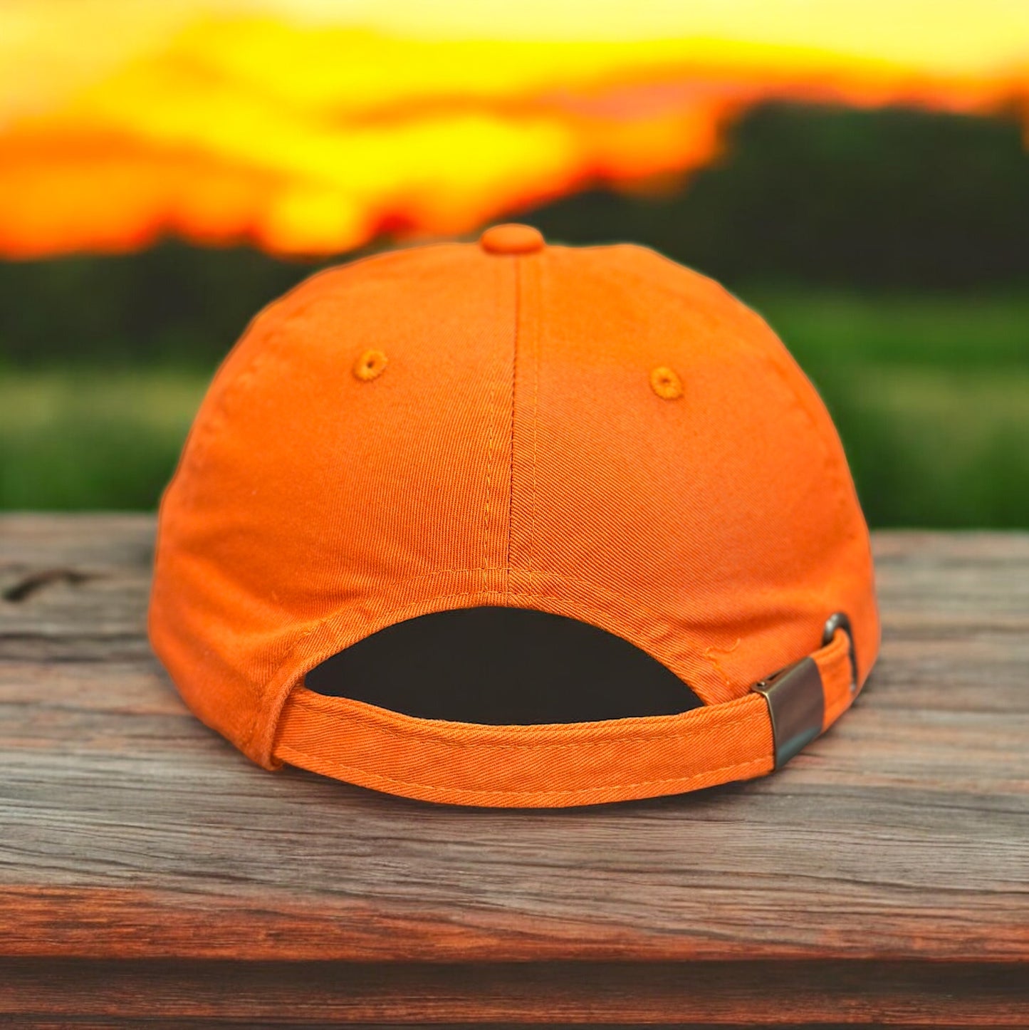 Hippos Baseball Hat