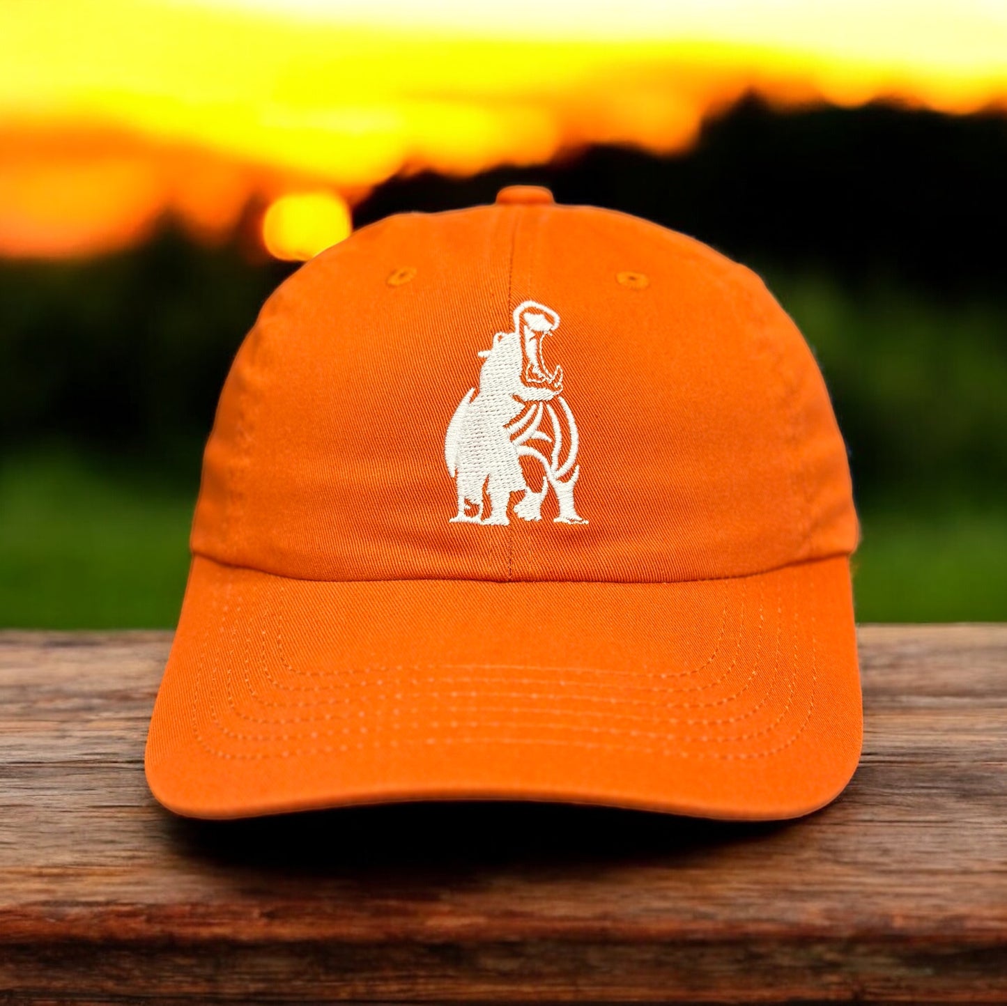 Hippos Baseball Hat