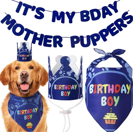 Louie’s Doggy “Birthday Boy” Kit