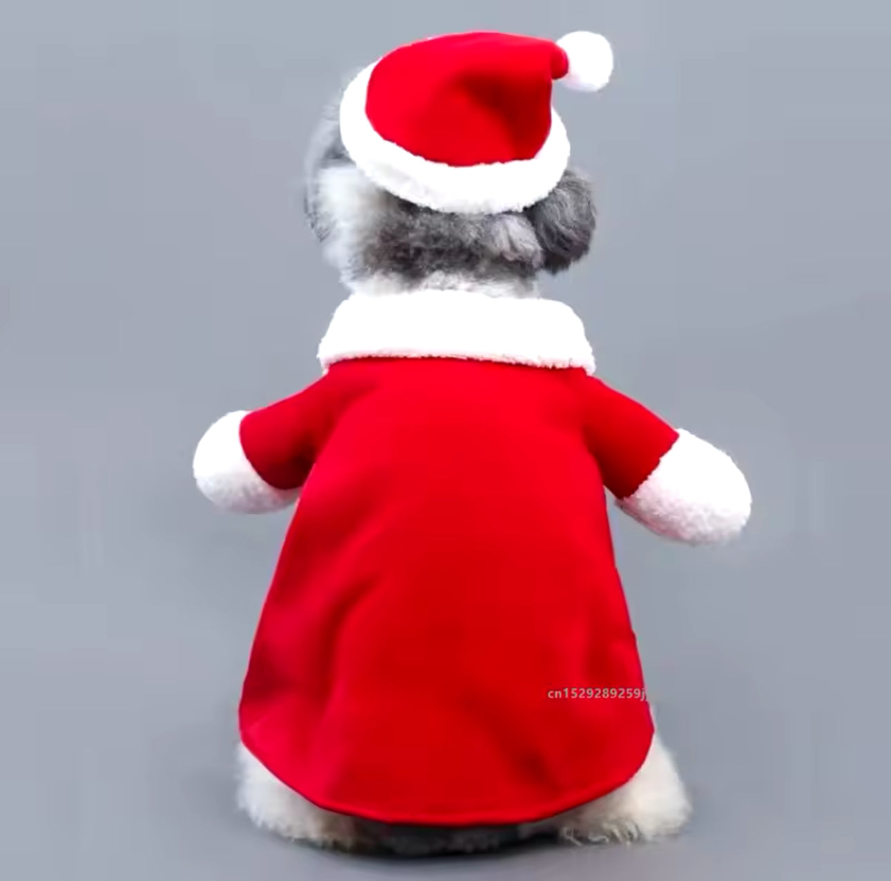 Louie’s Santa Claus Dog Costume