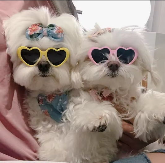Dolce’s Love Heart Sunglasses – Adorable & Stylish Eye Protection for Pets