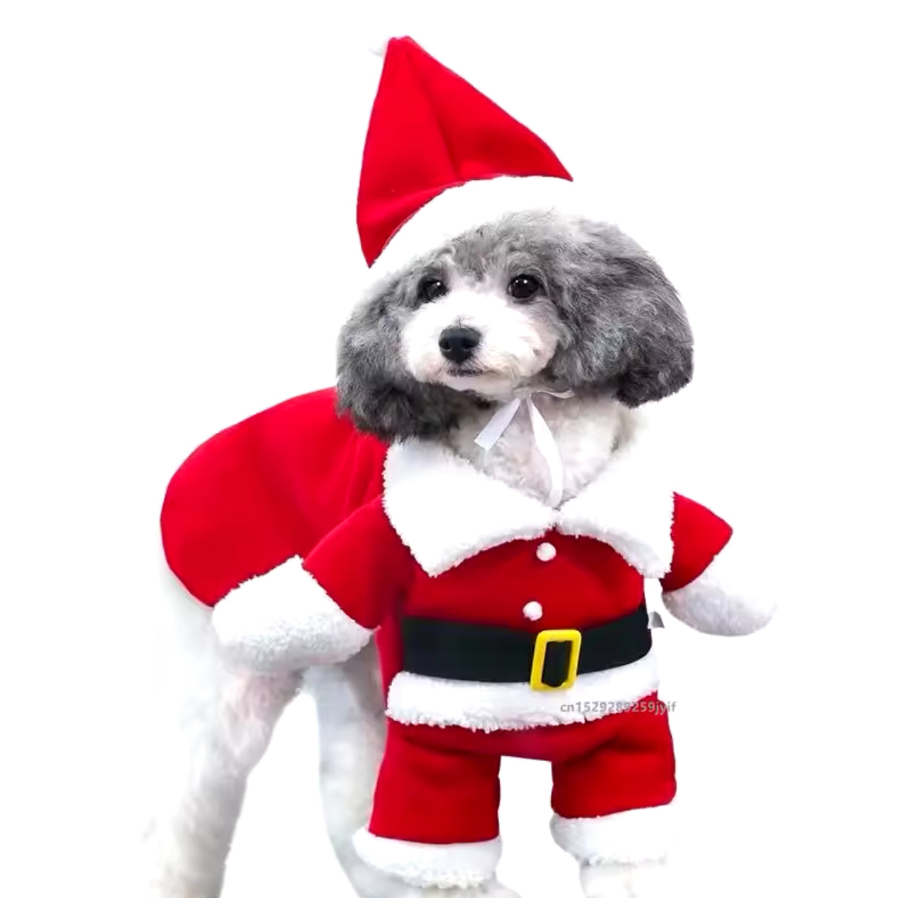 Louie’s Santa Claus Dog Costume