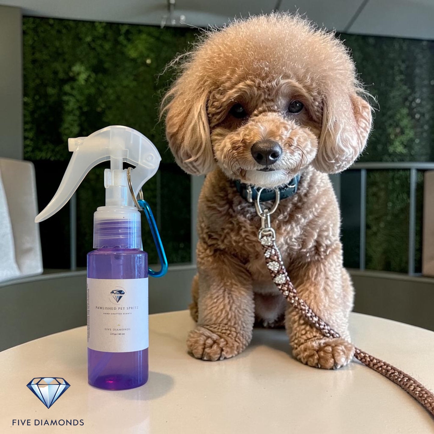 Pawlished Pet Spritz – Hand-Crafted Scents for Pets