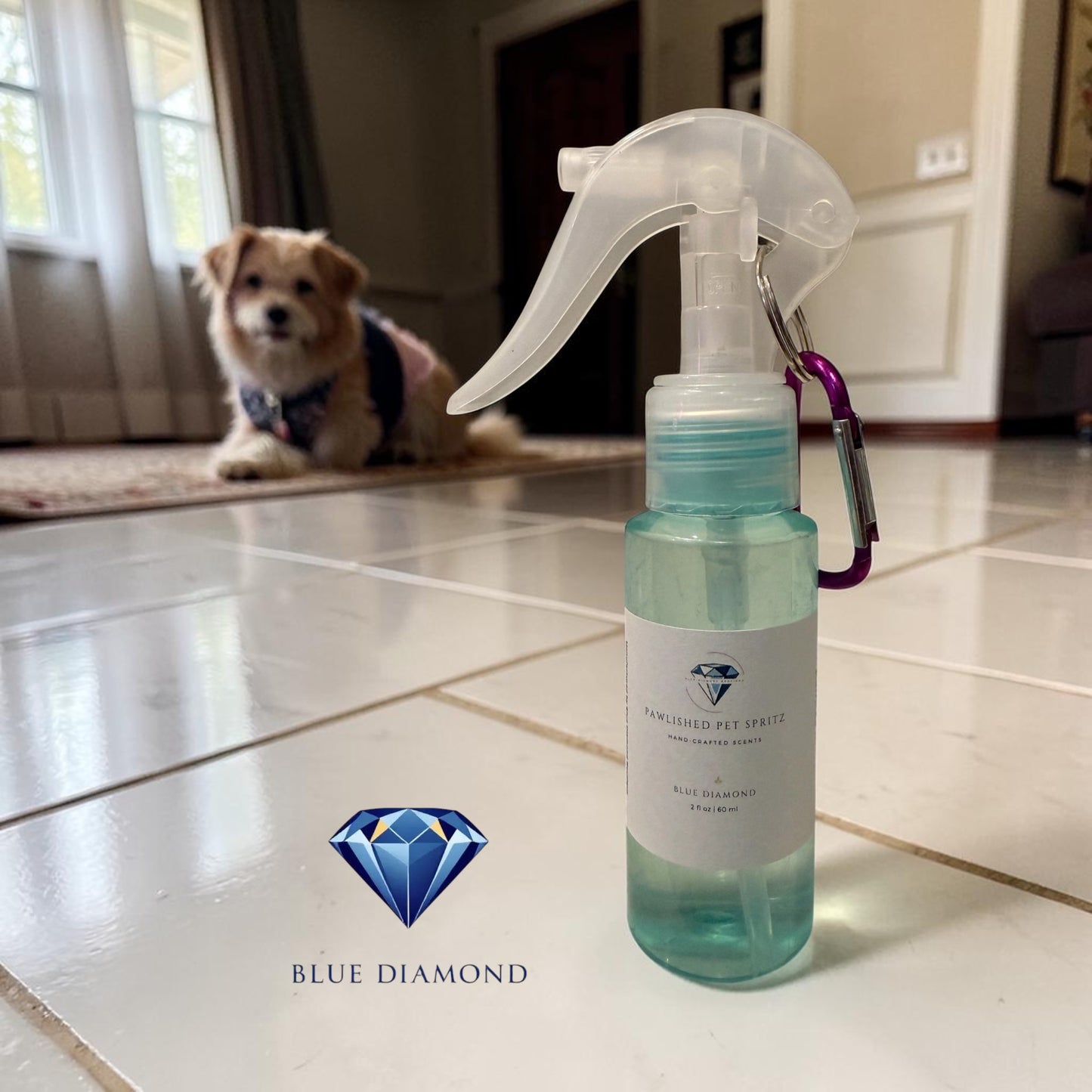 Pawlished Pet Spritz – Hand-Crafted Scents for Pets