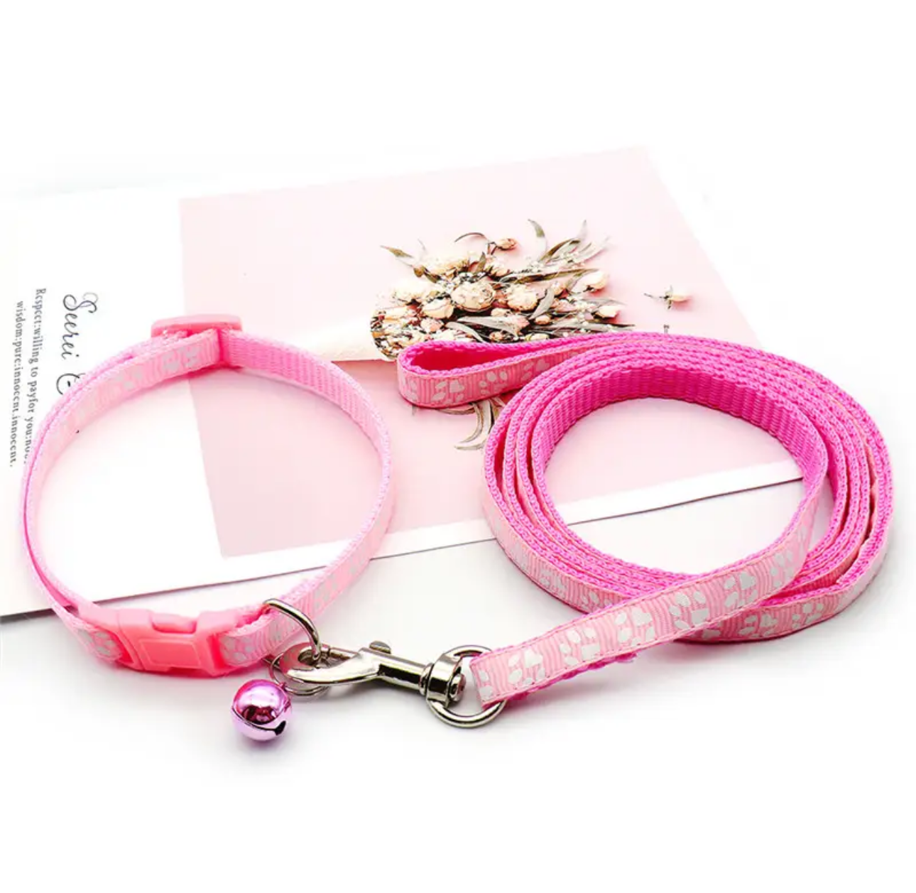 Louie’s Pet Leash and Collar Set